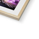 A Dance of Colours: Blooming Beauty Framed & Mounted Print